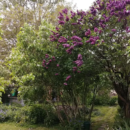 Maison Entre Terre Et Holiday home *