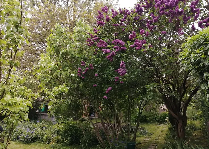 Maison Entre Terre Et Holiday home *